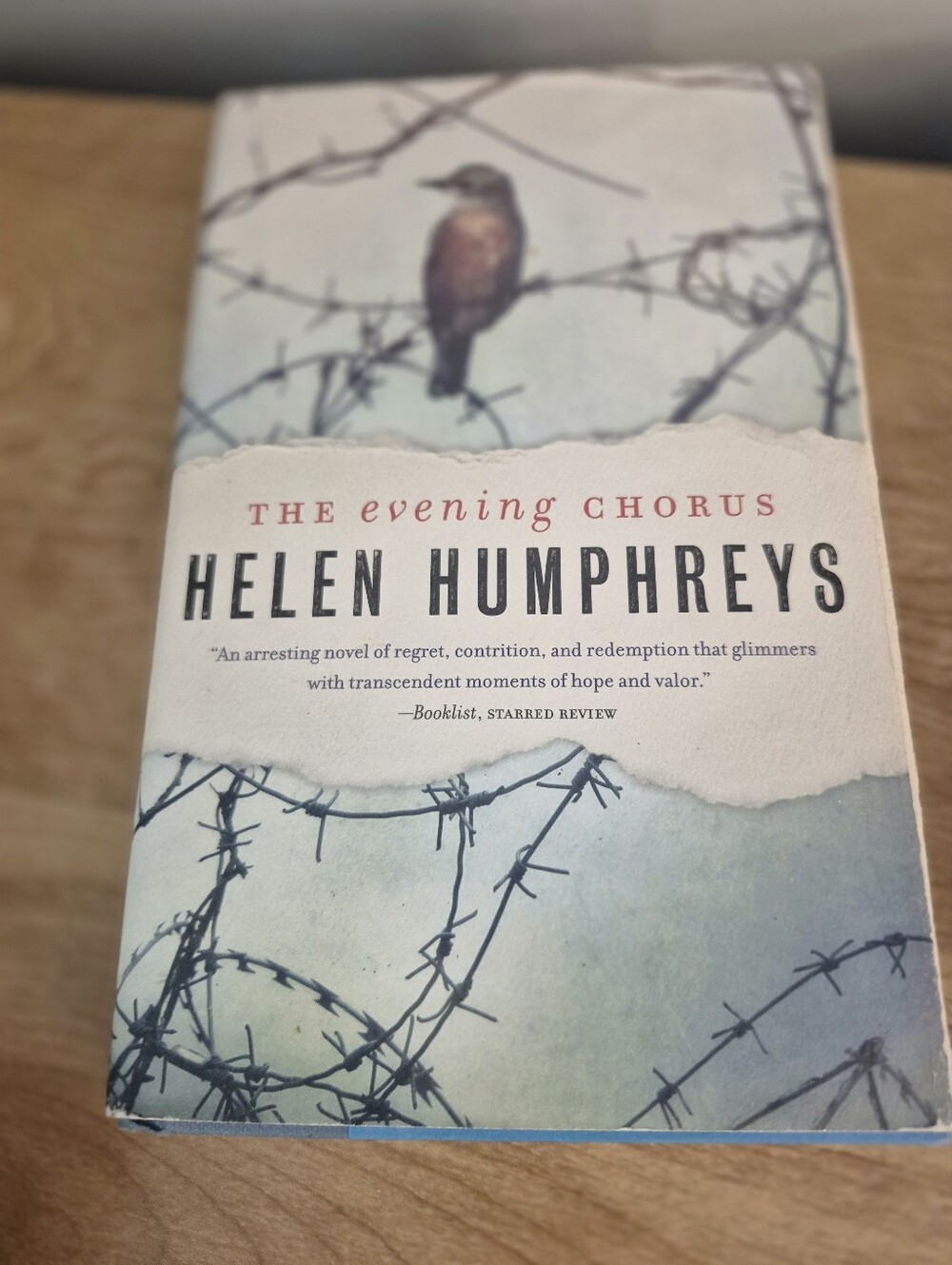 The Evening Chorus by Helen Humphreys - Soft Blue Cover with Bird Illustration